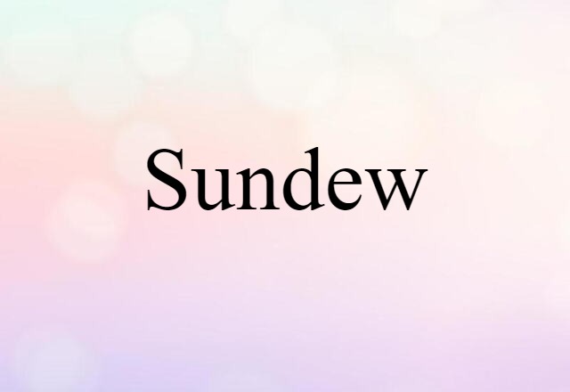 Sundew (noun) Definition, Meaning & Examples