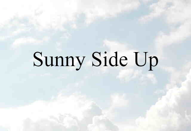 Sunny-side Up (noun) Definition, Meaning & Examples