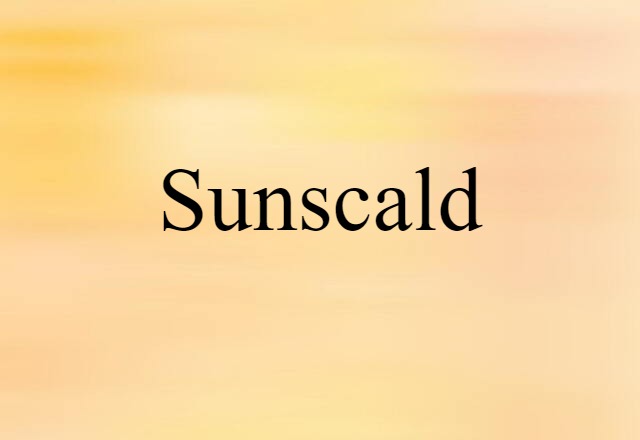 sunscald