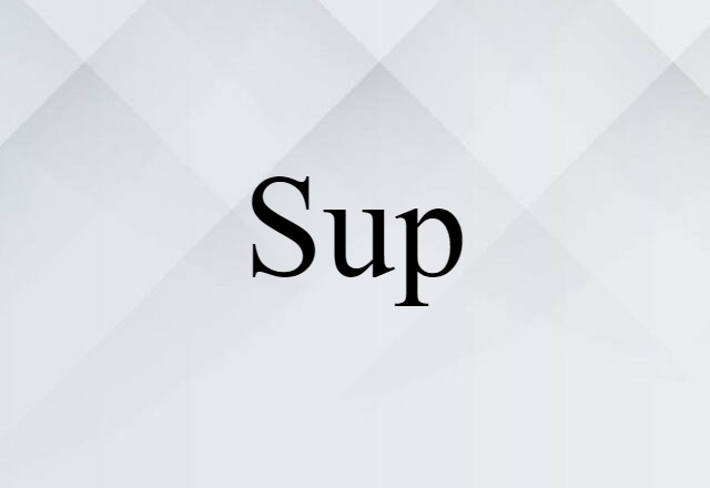 Sup (noun) Definition, Meaning & Examples