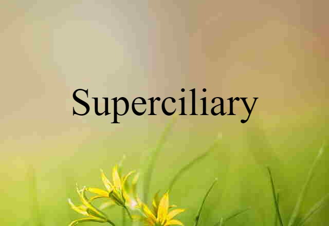 superciliary