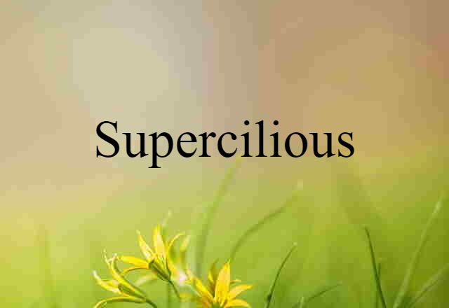 Supercilious (noun) Definition, Meaning & Examples