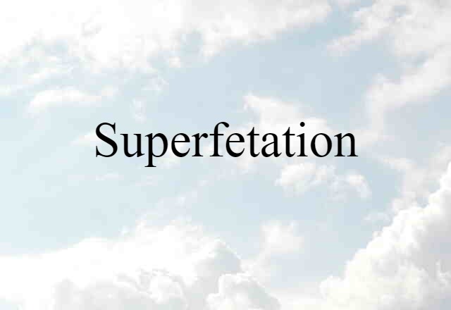 Superfetation (noun) Definition, Meaning & Examples