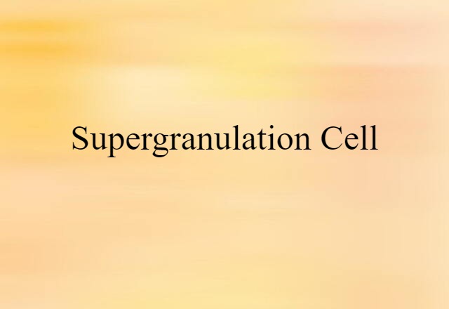 supergranulation cell