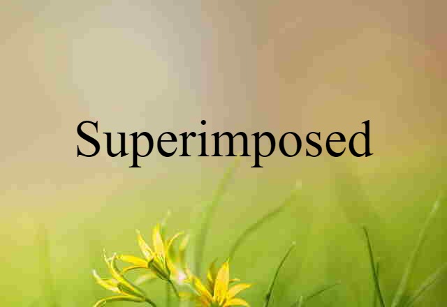 Superimposed (noun) Definition, Meaning & Examples