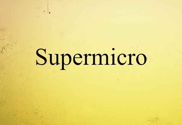 Supermicro (noun) Definition, Meaning & Examples