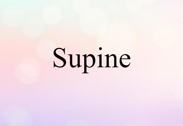 Supine (noun) Definition, Meaning & Examples