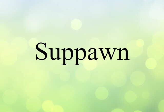 Suppawn (noun) Definition, Meaning & Examples