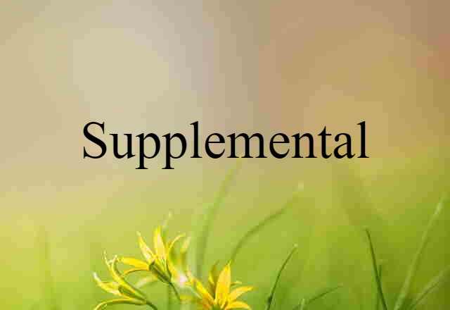 Supplemental (noun) Definition, Meaning & Examples