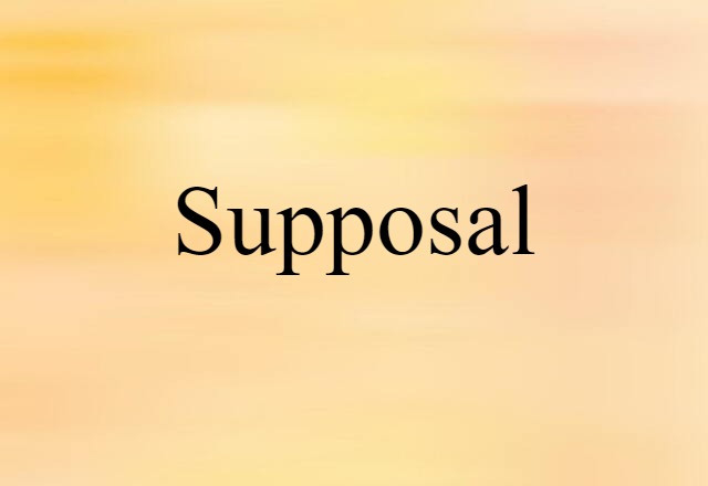 Supposal (noun) Definition, Meaning & Examples