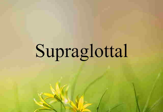 supraglottal