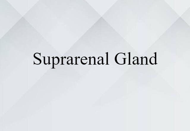 suprarenal gland