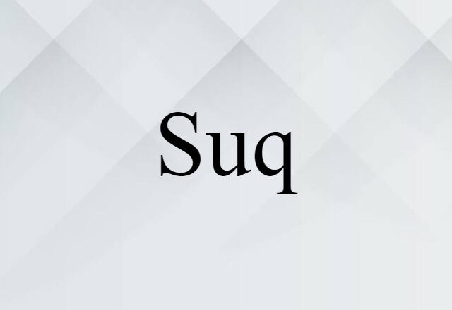 Suq (noun) Definition, Meaning & Examples