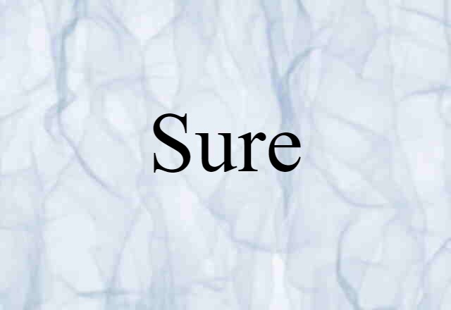 Sure (noun) Definition, Meaning & Examples