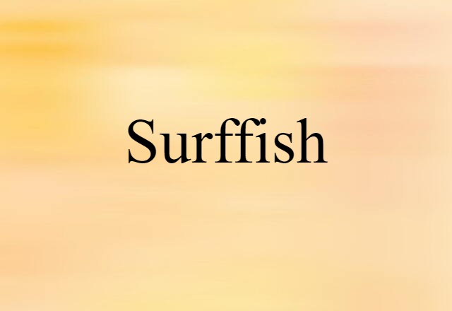 Surffish (noun) Definition, Meaning & Examples