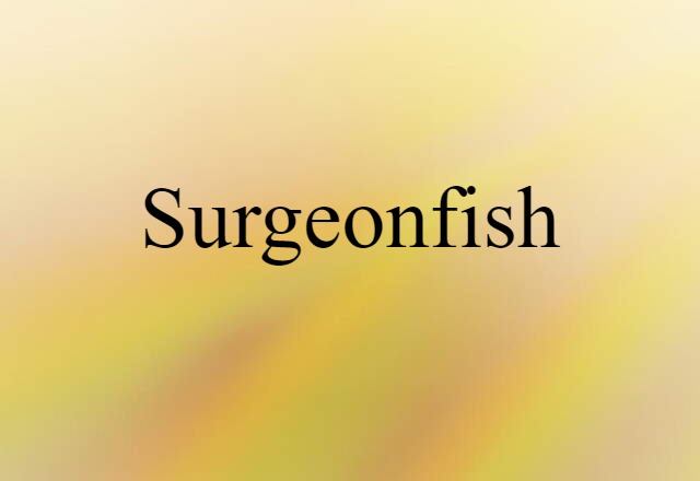 surgeonfish