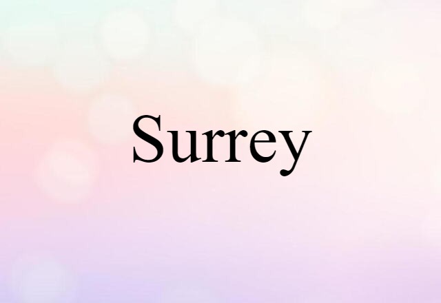 Surrey (noun) Definition, Meaning & Examples