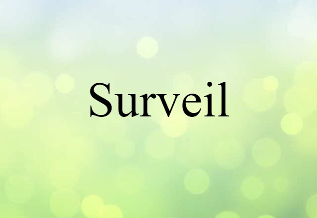 Surveil (noun) Definition, Meaning & Examples