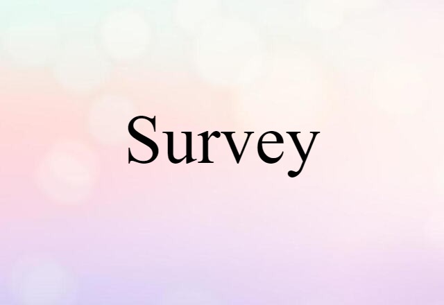 Survey (noun) Definition, Meaning & Examples