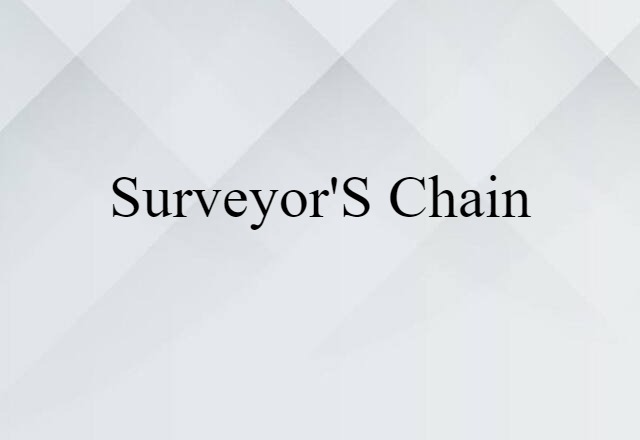 Surveyor's Chain (noun) Definition, Meaning & Examples