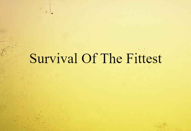 Survival Of The Fittest (noun) Definition, Meaning & Examples