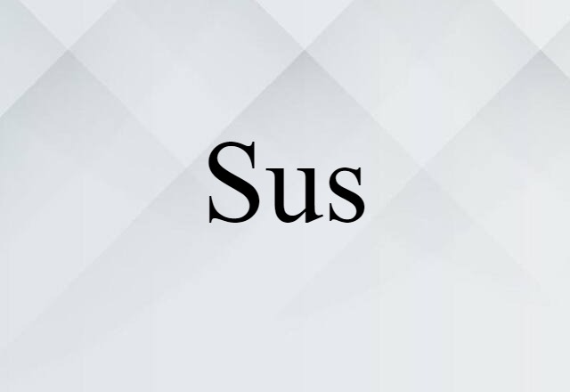 Sus (noun) Definition, Meaning & Examples