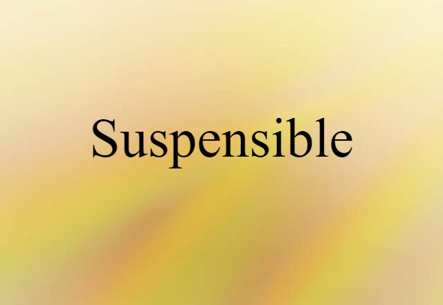 Suspensible (noun) Definition, Meaning & Examples