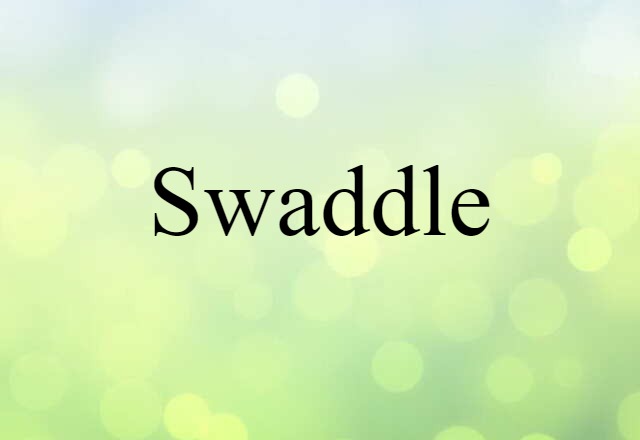 Swaddle (noun) Definition, Meaning & Examples