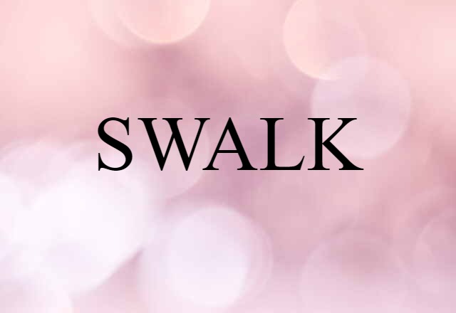 SWALK (noun) Definition, Meaning & Examples