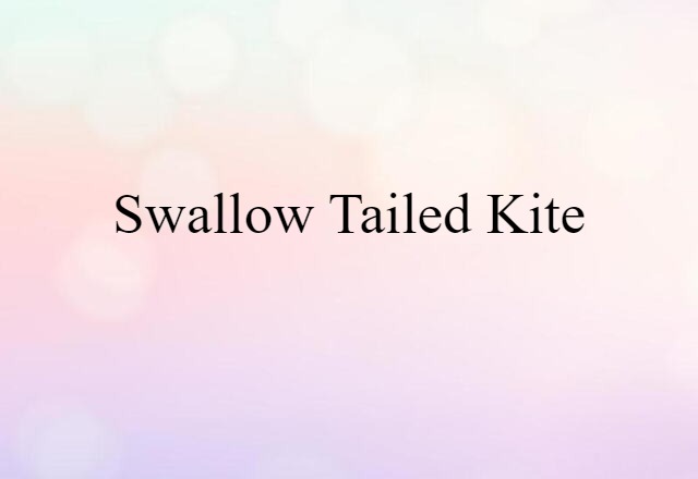 swallow-tailed kite