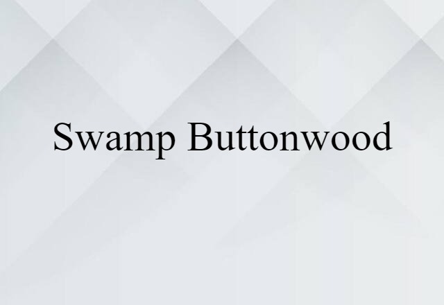 Swamp Buttonwood (noun) Definition, Meaning & Examples