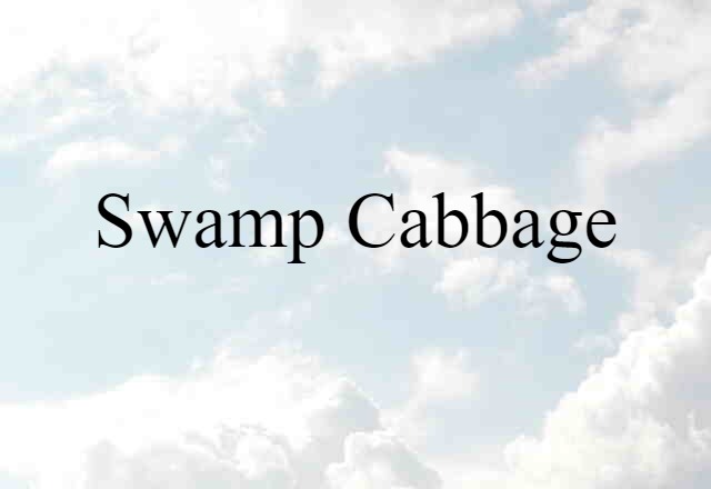 Swamp Cabbage (noun) Definition, Meaning & Examples