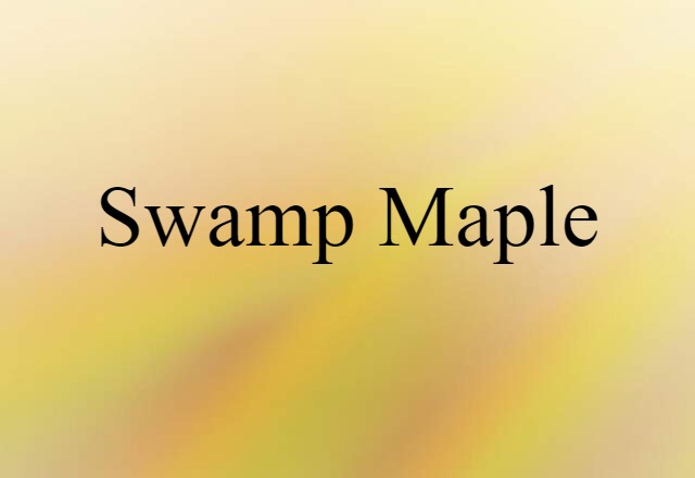 swamp maple