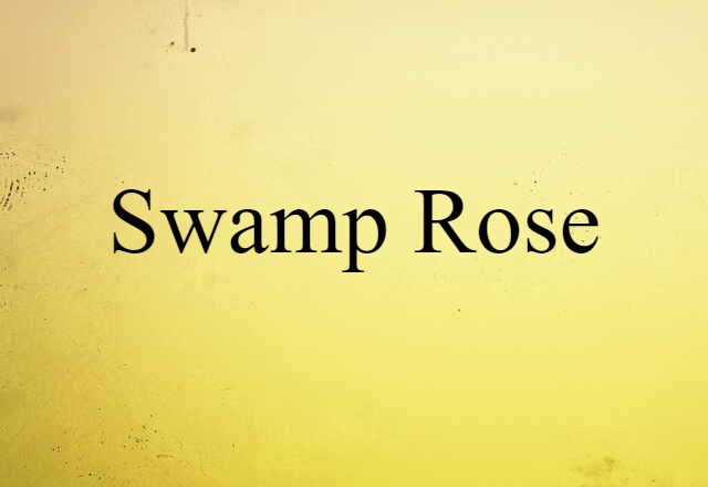 swamp rose