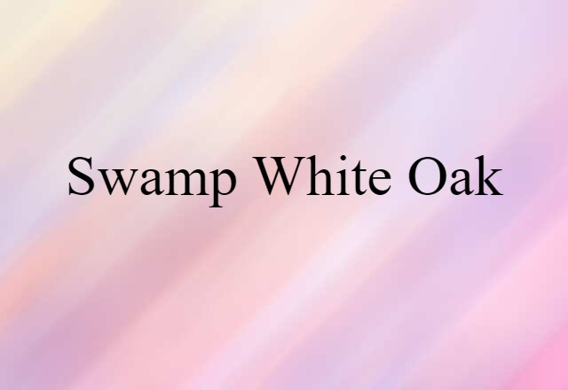 swamp white oak