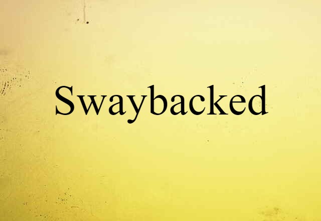 Swaybacked (noun) Definition, Meaning & Examples