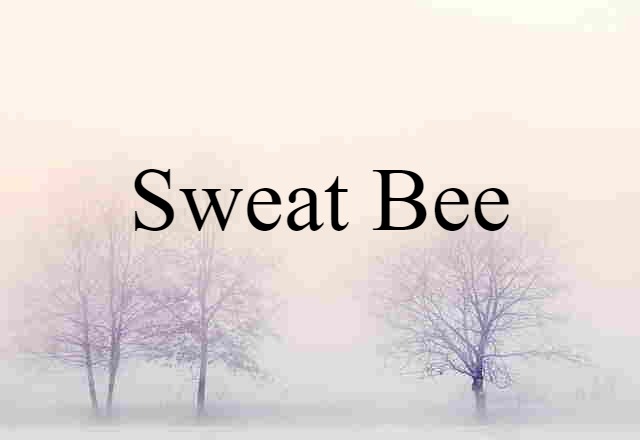 sweat bee