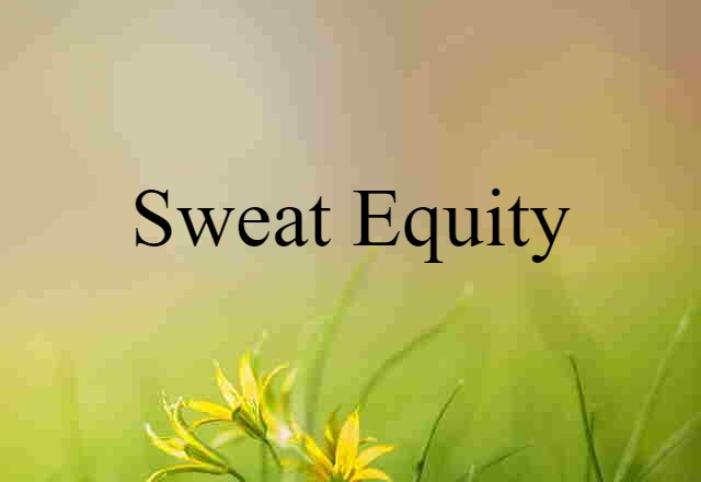 sweat equity