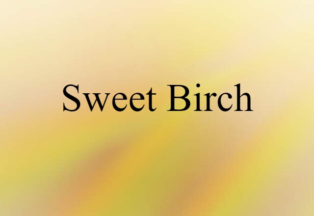 Sweet Birch (noun) Definition, Meaning & Examples