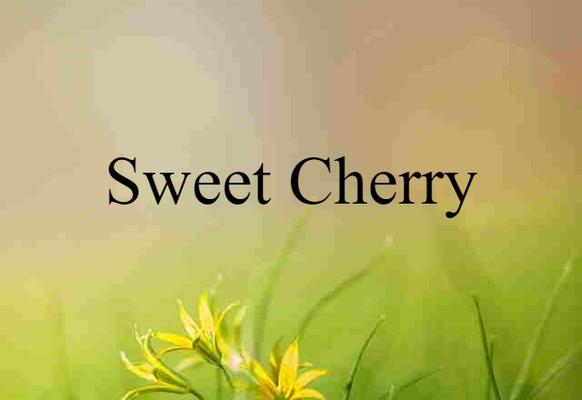 sweet cherry