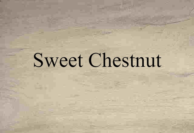 Sweet Chestnut (noun) Definition, Meaning & Examples