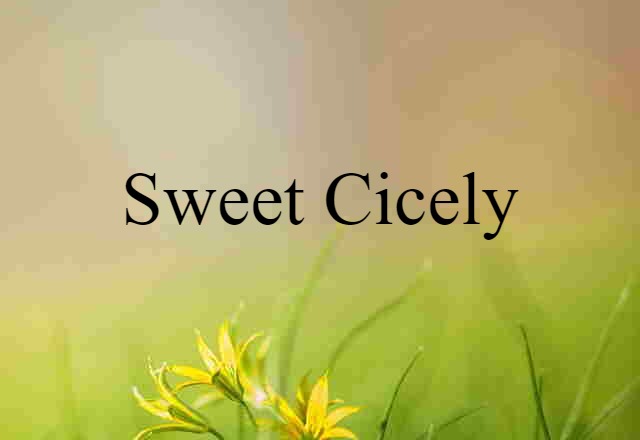 Sweet Cicely (noun) Definition, Meaning & Examples