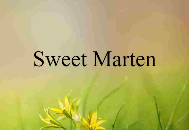 Sweet Marten (noun) Definition, Meaning & Examples