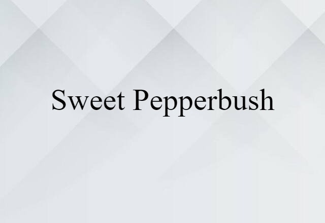 Sweet Pepperbush (noun) Definition, Meaning & Examples