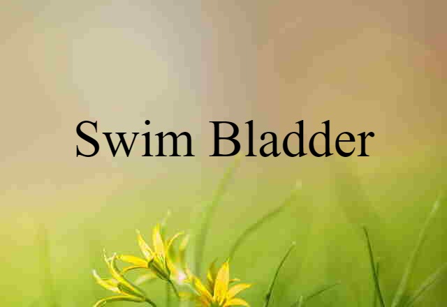 Swim Bladder (noun) Definition, Meaning & Examples