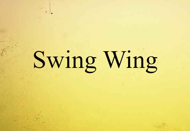 swing-wing