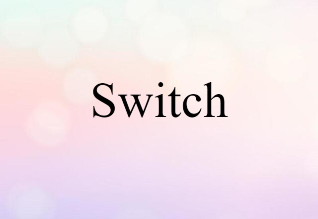 Switch (noun) Definition, Meaning & Examples