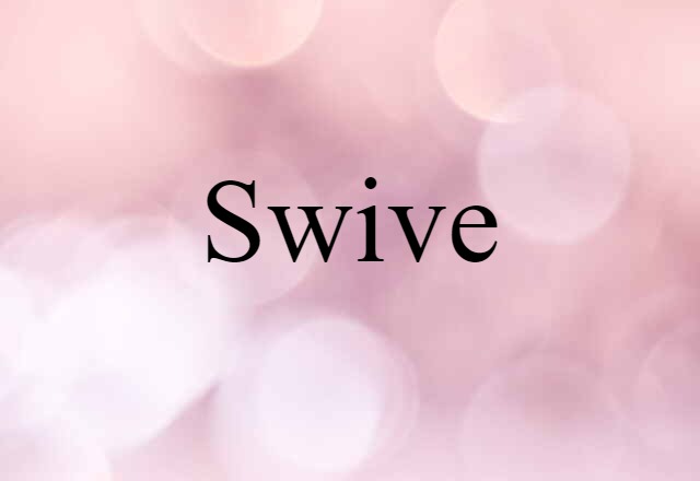 Swive (noun) Definition, Meaning & Examples