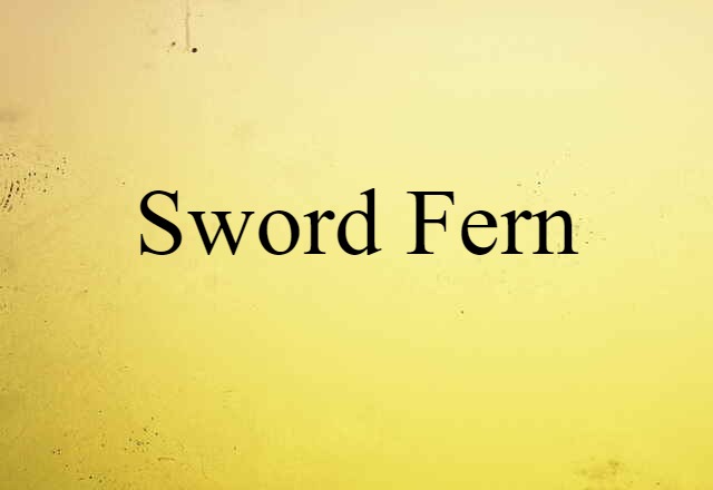 Sword Fern (noun) Definition, Meaning & Examples