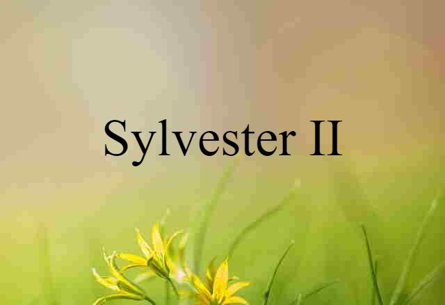 Sylvester II (noun) Definition, Meaning & Examples